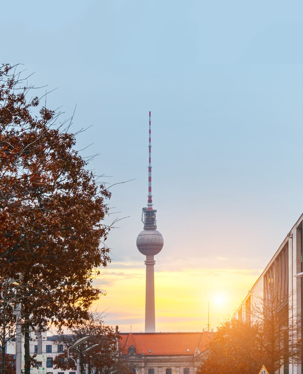 Der Berliner Fernsehturm bei Sonnenuntergang mit Bäumen im Vordergrund.