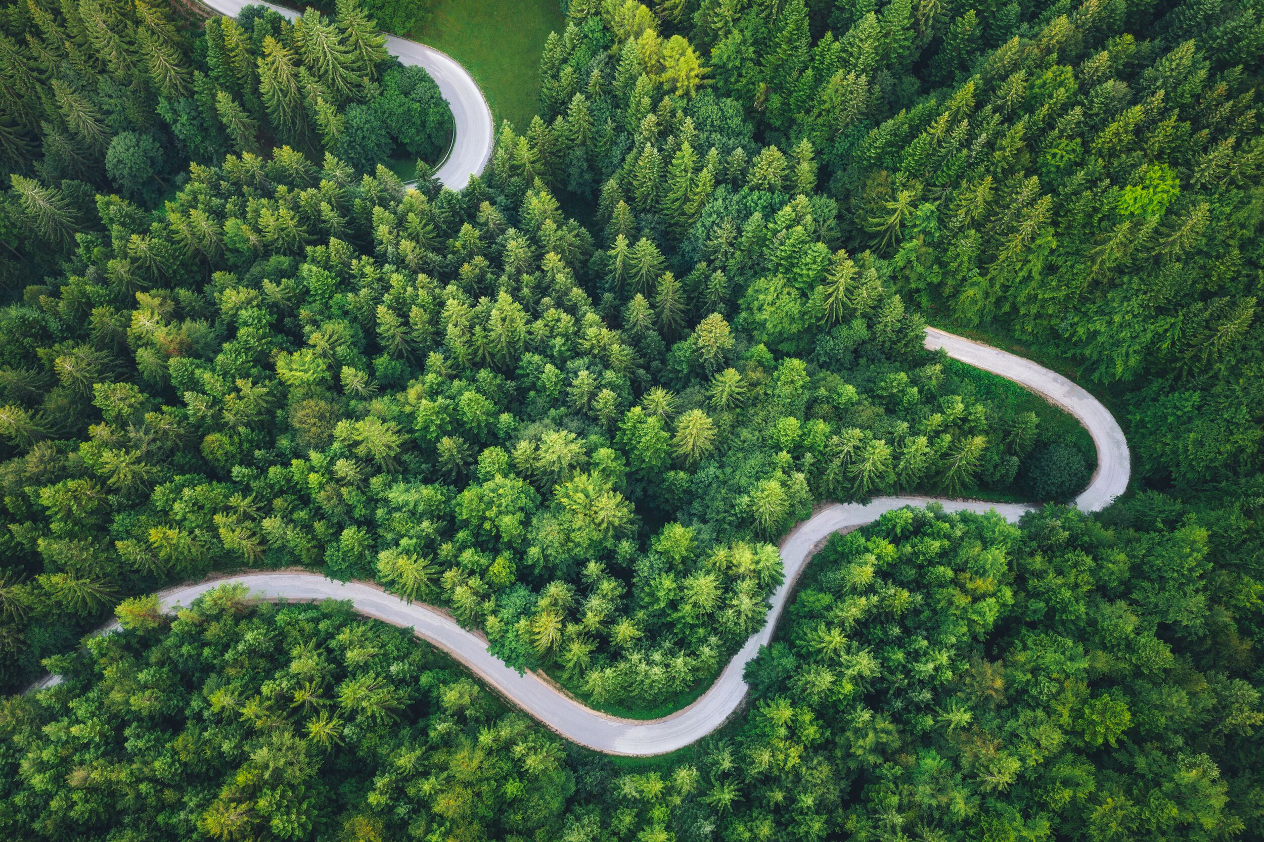 Luftaufnahme einer kurvenreichen Straße, umgeben von dichtem Wald.